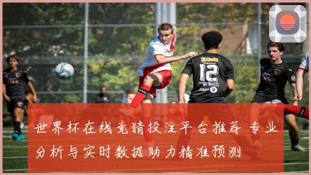 世界杯在线竞猜投注平台推荐 专业分析与实时数据助力精准预测