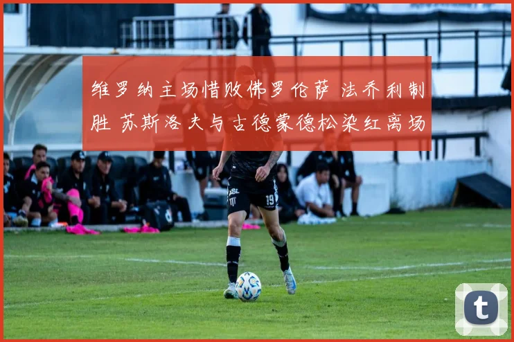 维罗纳主场惜败佛罗伦萨 法乔利制胜 苏斯洛夫与古德蒙德松染红离场