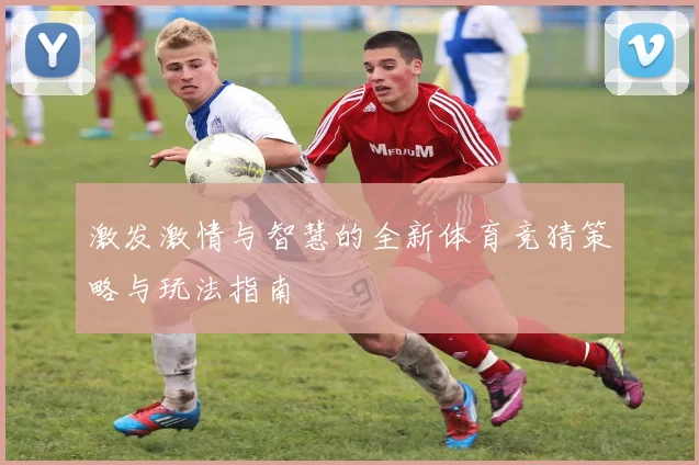 激发激情与智慧的全新体育竞猜策略与玩法指南