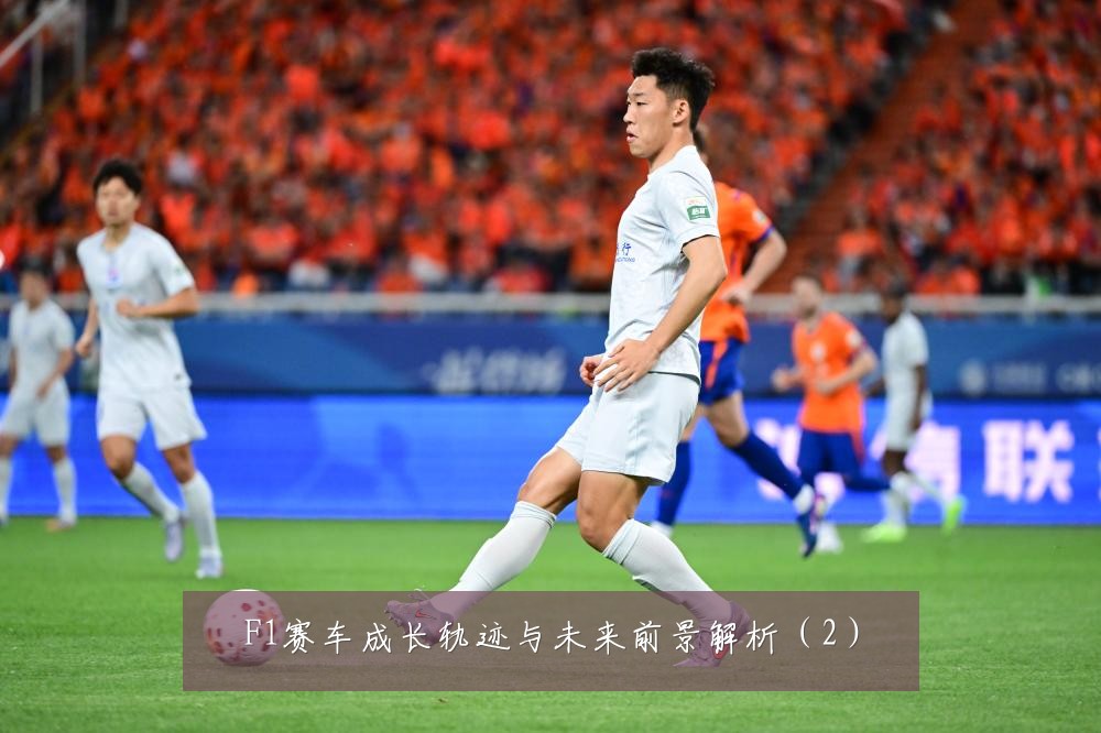 F1赛车成长轨迹与未来前景解析（2）