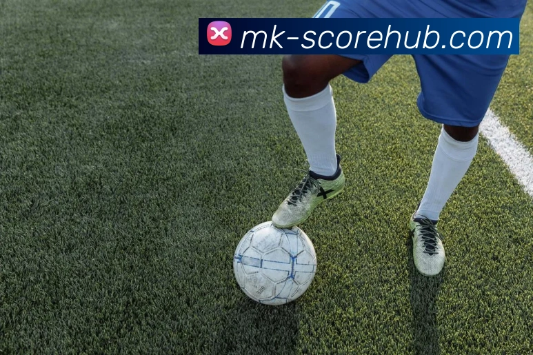 MK体育平台展示图