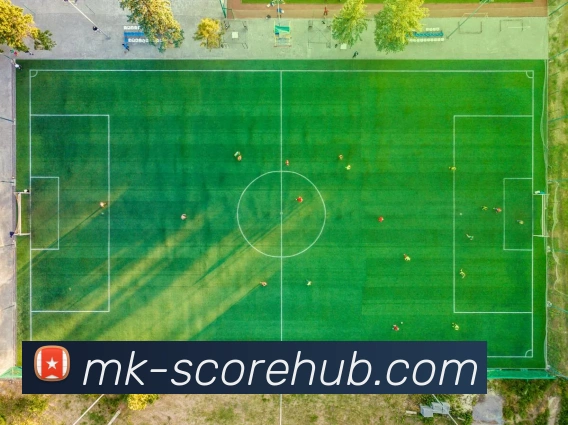 MK娱乐APP官方下载与最新功能亮点全面解析一站式下载体验